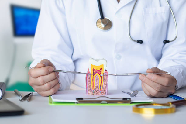 Best Chipped Tooth Repair Near Me  in Fulton, TX